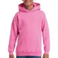 Youth Hooded Sweatshirt van Gildan