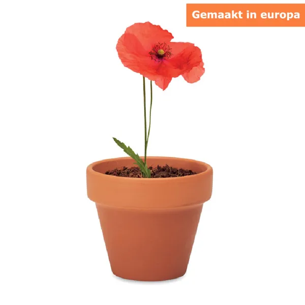 Mini Terracotta Pot met Klaproos Zaden