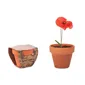 Mini Terracotta Pot met Klaproos Zaden