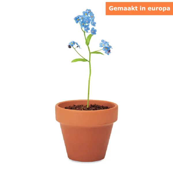 Mini Terracotta Pot met Vergeet-mij-nietjes Zaden