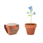 Mini Terracotta Pot met Vergeet-mij-nietjes Zaden